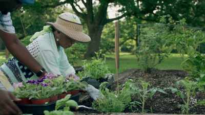 * It's gonna take
a bit of work * - Queen Sugar