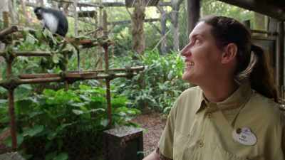 It's gonna take a little bit,
uh, different momentum and movement - Magic of Disney's Animal Kingdom