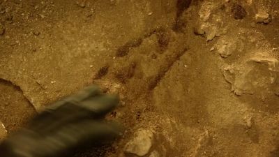 It's got a handle. - CSI: Crime Scene Investigation