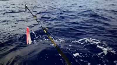 It's got to be "no, no." - Deadliest Catch: Bloodline