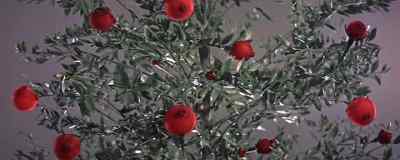 -It's growing.
-It's ripe. - The Silver Chalice