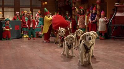 What's happening - Santa Buddies