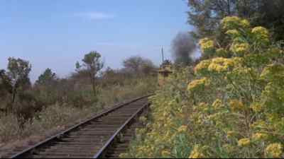 It's hard to let that much gold go by. - Rio Lobo
