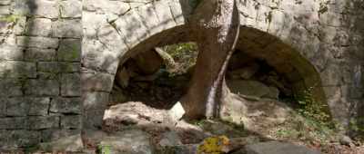It's hard to tell just by looking at the structure as such. - Is Genesis History?