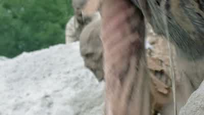 It's heavy. - The Walking Dead