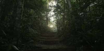 It's helpful to understand
that this is a pathway. - Chasing the Present