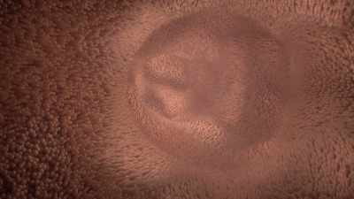 It's here where glucose
is finally extracted - Human: The World Within