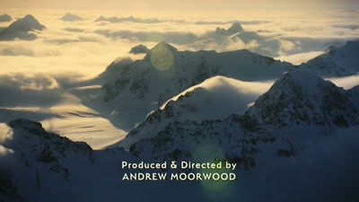 'It's high
in the Northern Hemisphere - A Year on Planet Earth