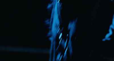 It's him. - The Black Stallion