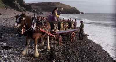 It's Holly. Well done! - The Wicker Man