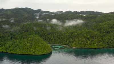 It's home to giants - - The Green Planet