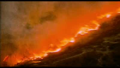 It's home. - Starship Troopers