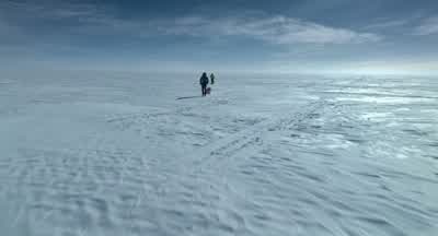 It's horrific out here. - Pole to Pole with Will Smith