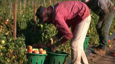 It's this idea that people
are competing - - Black Life: Untold Stories