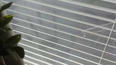 - It's as if something
has been trying to communicate with me - Murder Death Koreatown