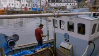 It's important to kind of,
protect your trade secrets. - Cornwall: This Fishing Life