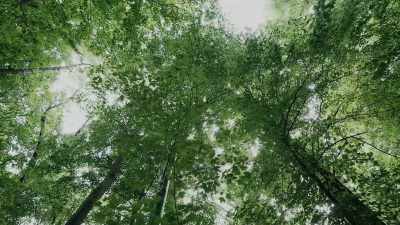 It's important to know that this
isn't a connection to the missing. - Missing 411: The Hunted