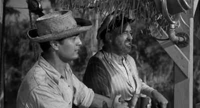 It's impossible. - Creature from the Black Lagoon