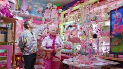 It's incredible how like, - The Mystery of the Pink Flamingo