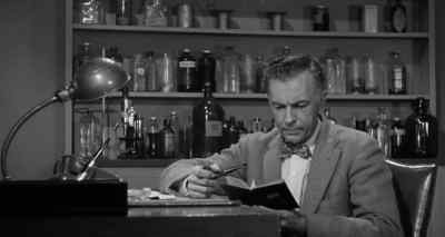 - It's incredible, right
in front of our noses. - The Wasp Woman