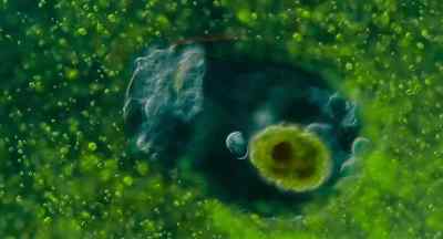 It's infected. You're infected. - Turtles All the Way Down