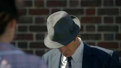 It's interesting that peregrines - Ms Fisher's Modern Murder Mysteries