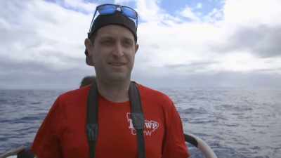 It's... It's incredible;
the little calf is just playing - Secrets of the Whales