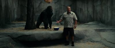 It's it's - Zookeeper