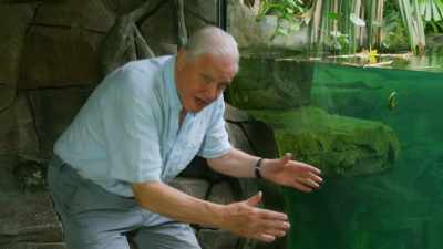 Its jaws, as you can see, - Attenborough and the Sea Dragon