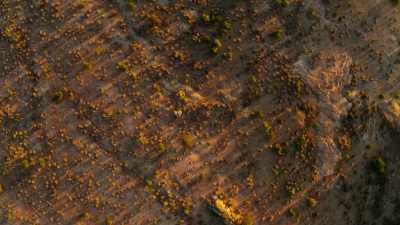 It's July, Tsavo's driest month. - Our Great National Parks