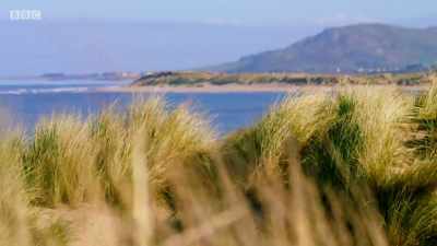 It's June
and the temperature is rising. - Wales: Land of the Wild