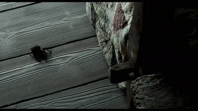 - It's just a spider. - Sleepy Hollow