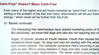It's just about knowing-- - Pet Fooled