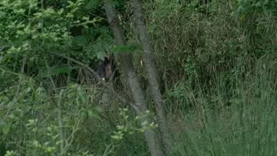 It's just ahead. - The Walking Dead