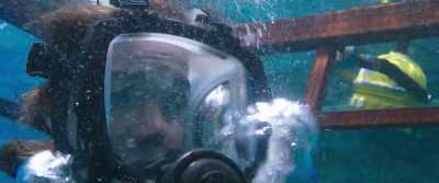 It's just so cool.
I could stay down here forever. - 47 Meters Down