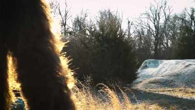 It's just hard for
them to understand that - Secrets of the Sasquatch