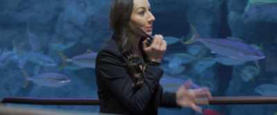 It's just...
I want this Senator Blackburn - Aquarium of the Dead