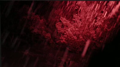 It's just... It's just weird. - Beyond Skinwalker Ranch