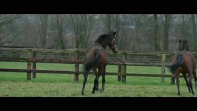 It's just like all
of us, you know, - Horsepower