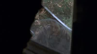 - It's just one of 'em. - The Walking Dead