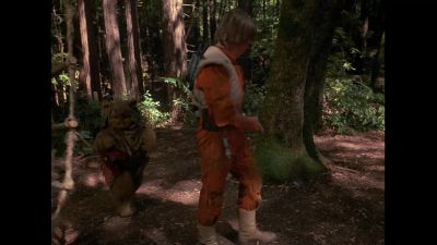 It's just another stupid rock - The Ewok Adventure
