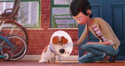 It's just until we can get - The Secret Life of Pets 2