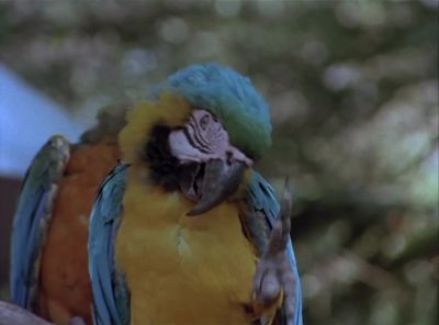 It's your kidney, shorty.
Put the gun down. - Miami Vice