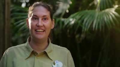 It's kind of a big first.
This is our first sibling pair - Magic of Disney's Animal Kingdom