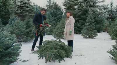 It's kinda hard to pay
the bills as a poet. You know. - A Dance in the Snow