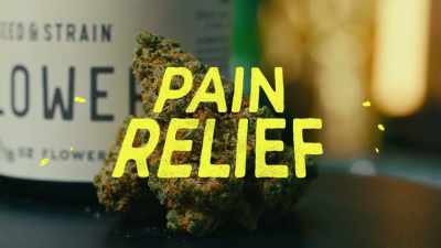 It's known for treating
stress, pain relief, - Wake & Bake with Dom Brown