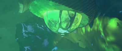 It's leaking plasma? Great! - Star Trek: Prodigy