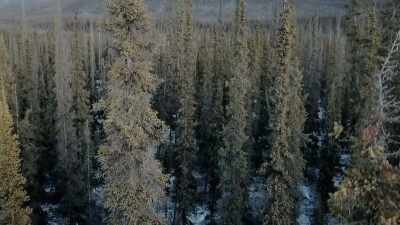 It's like a, a weird respect. - Life Below Zero: Next Generation