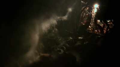 It's like a giant spider web
weaving between the tree roots. - Welcome to Earth