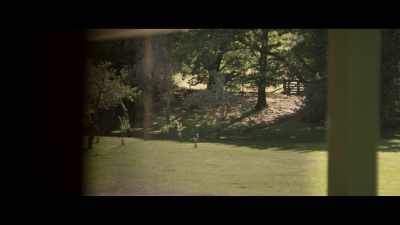 It's like an apparition. - Fever Dream